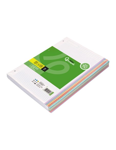 Recambio liderpapel a4 200+50 hojas 90gr cuadro 5mm 4 taladros bandas de 5 colores