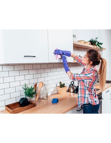 Limpiador desinfectante sanytol para cocinas...