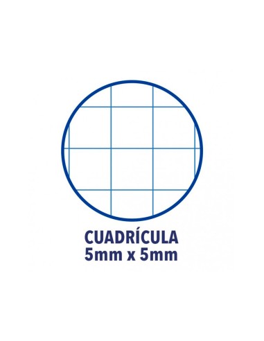 Recambio color 1 oxford din a4+ 80 hojas 90 gr...