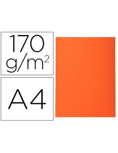 Subcarpeta cartulina...