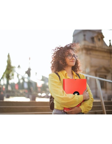 Carpeta antartik gomas a4 3 solapas carton...