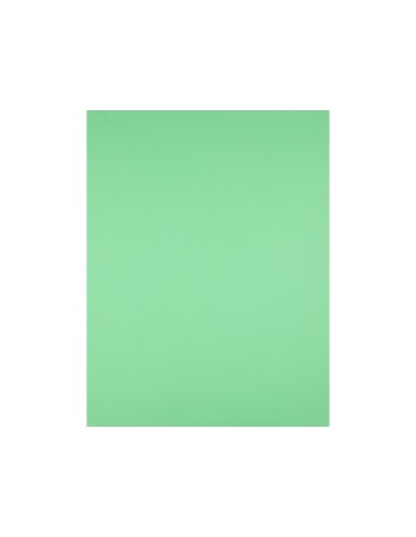 Cartulina liderpapel 50x65 cm 180g/m2 verde...