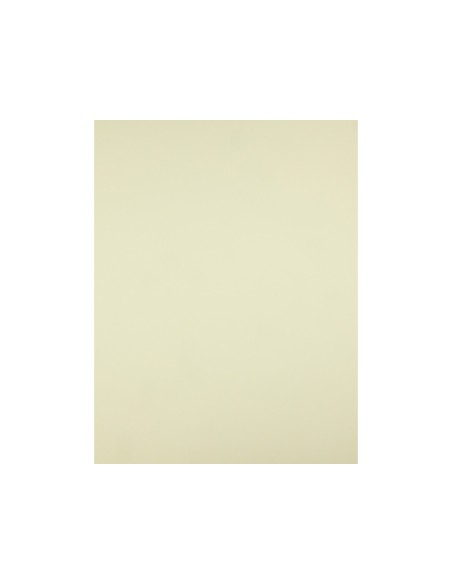 Cartulina liderpapel 50x65 cm 180g/m2 amarillo paquete de 25 hojas