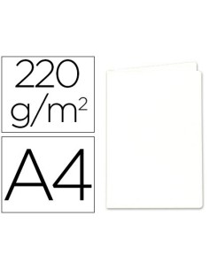 Subcarpeta cartulina...