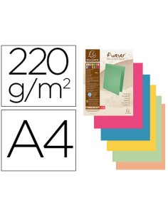 Subcarpeta cartulina...