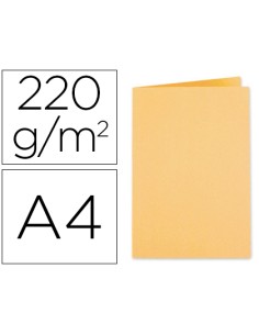 Subcarpeta cartulina...