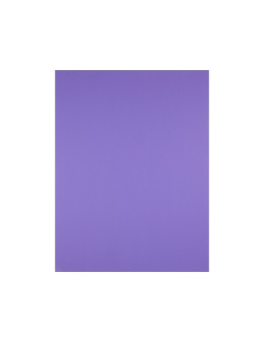 Cartulina liderpapel 50x65 cm 180 gr purpura...