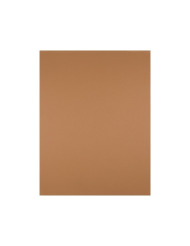 Cartulina liderpapel 50x65 cm 180 gr marron...
