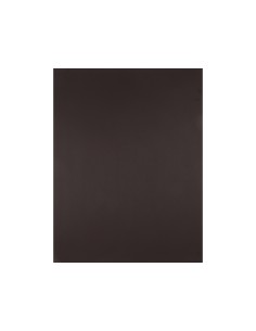 Cartulina liderpapel 50x65... 2