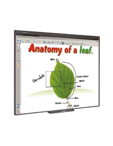 Pizarra interactiva sb480 77\" con proyector y...