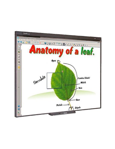 Pizarra interactiva sb480 77\" con proyector y...