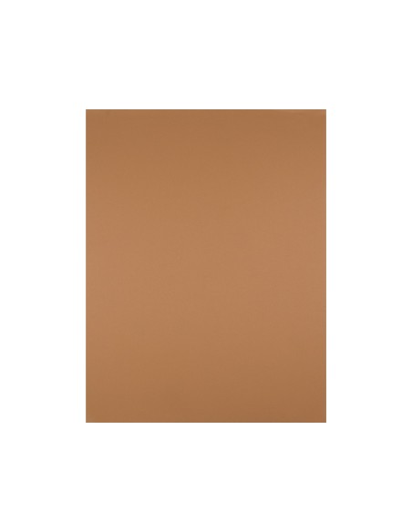 Cartulina liderpapel 50x65 cm 240g/m2 marron escolar paquete de 25 hojas