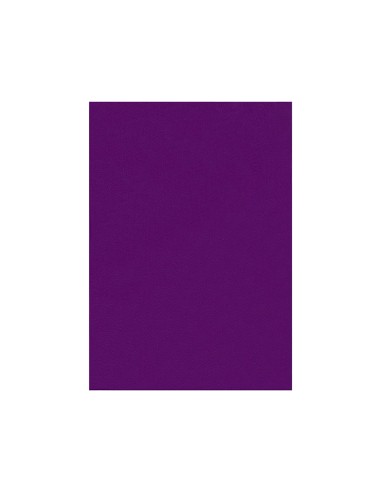 Fieltro liderpapel 50x70cm violeta 160g/m2