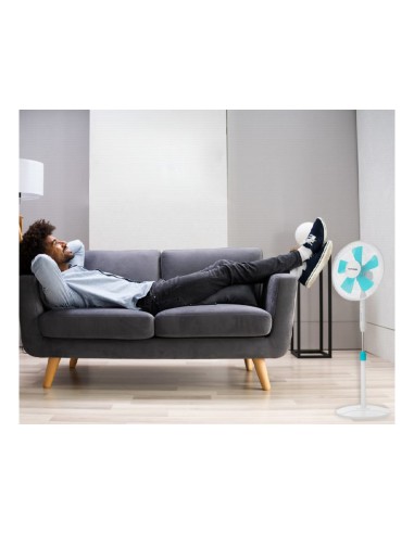 Ventilador blaupunkt pie base redonda 5 aspas 3...