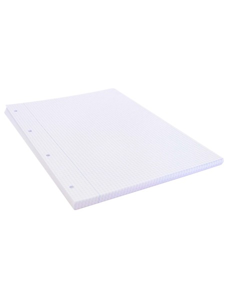 Recambio liderpapel a4 100 hojas 75gr cuadro 4mm con margen 4 taladros
