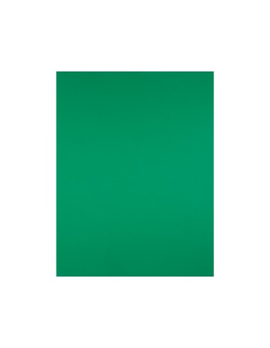 Cartulina liderpapel 50x65 cm 240g/m2 verde...