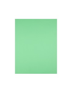 Cartulina liderpapel 50x65... 2