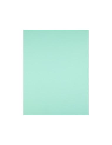 Cartulina liderpapel 50x65 cm 240g/m2 verde