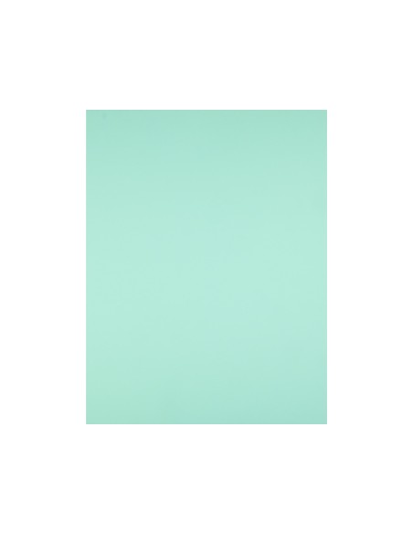 Cartulina liderpapel 50x65 cm 240g/m2 verde