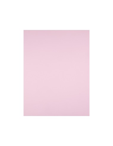 Cartulina liderpapel 50x65 cm 240g/m2 rosa