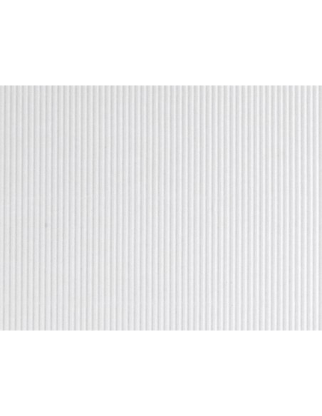 Carton ondulado liderpapel 50 x 70cm 320 g blanco