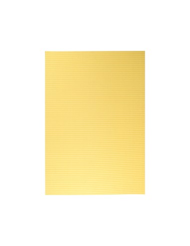 Carton ondulado liderpapel 50 x 70cm 320 g...