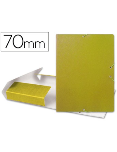Carpeta proyectos liderpapel folio lomo 70mm...