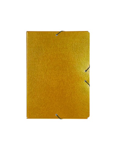 Carpeta proyectos liderpapel folio lomo 70mm...
