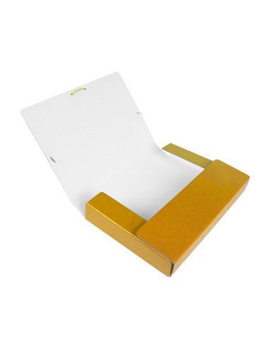 Carpeta proyectos liderpapel folio lomo 50mm...