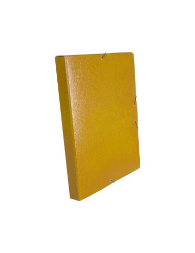 Carpeta proyectos liderpapel folio lomo 30mm...