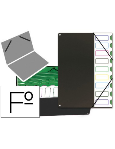 Carpeta clasificador tapa de plastico pardo...