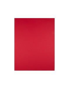 Cartulina liderpapel 50x65... 2