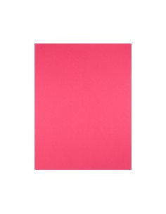 Cartulina liderpapel 50x65... 2