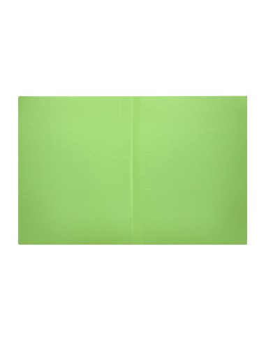 Subcarpeta liderpapel din a4 verde intenso 180g/m2