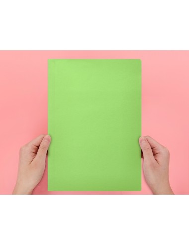 Subcarpeta liderpapel din a4 verde intenso 180g/m2