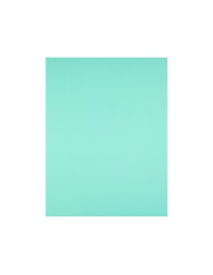Cartulina liderpapel 50x65... 2