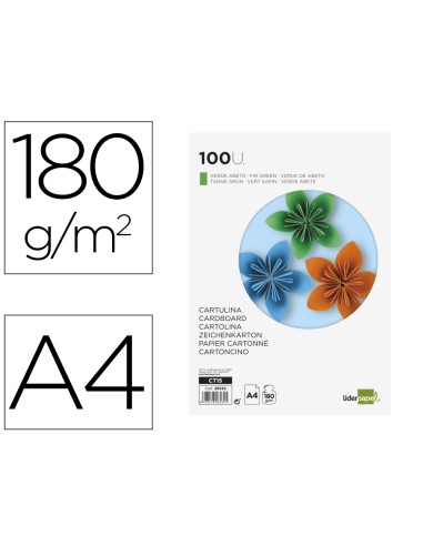 Cartulina liderpapel a4 180g/m2 verde abeto...