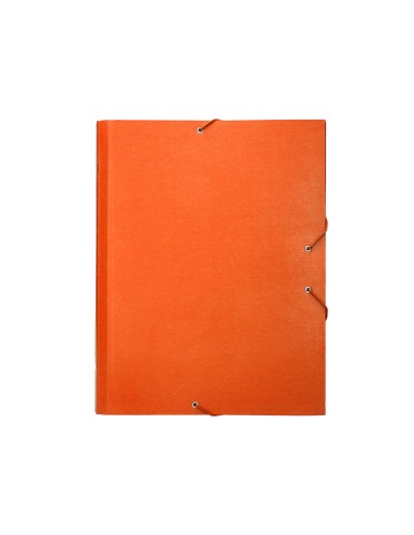 Carpeta clasificadora liderpapel 12...