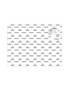 Cartulina guarro blanca... 2