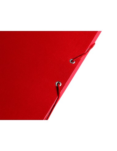 Carpeta proyectos liderpapel folio lomo 30mm...