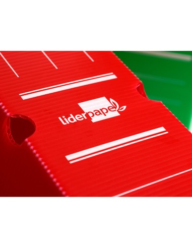 Caja archivo definitivo plastico liderpapel...