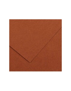 Cartulina guarro marron... 2