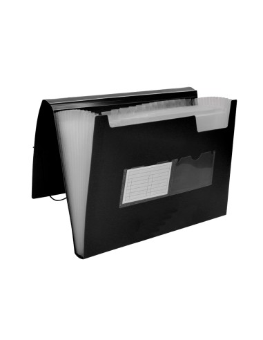 Carpeta liderpapel clasificador fuelle...