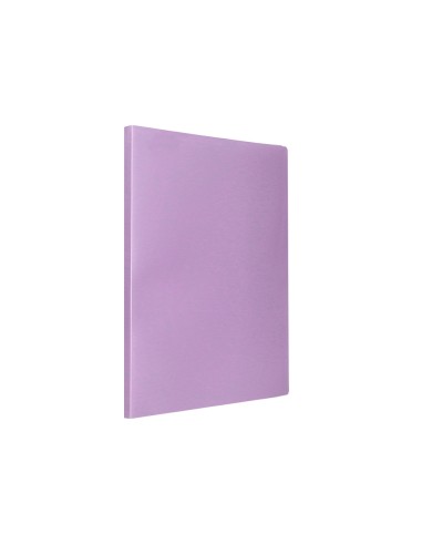 Carpeta liderpapel escaparate 20 fundas...