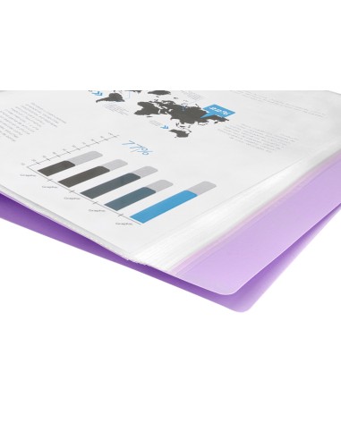 Carpeta liderpapel escaparate 10 fundas...