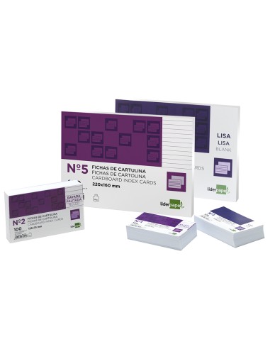 Ficha liderpapel lisa nº5 160x220mm 180gr...