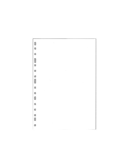 Recambio multifin 3002 cuarto natural liso blanco 50 hojas 155x215 mm
