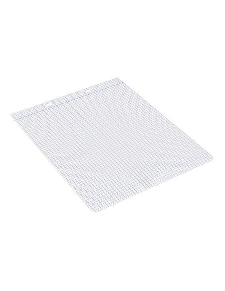 Recambio liderpapel cuarto apaisado 100 hojas 60gr cuadro 4 mm 2 taladros con margen