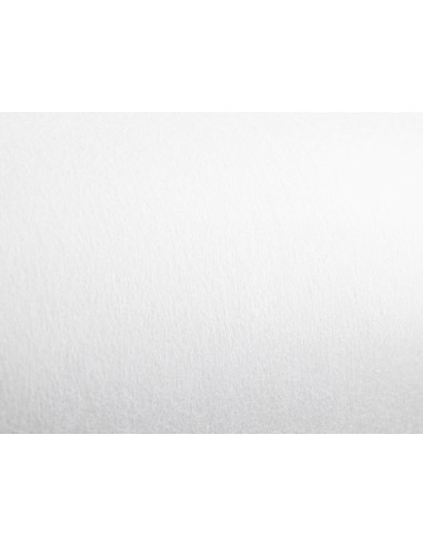 Tejido sin tejer liderpapel terileno 25 g/m2...