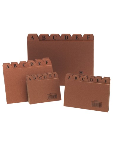 Indice fichero carton nº4 125x200 mm
